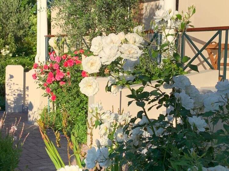 膳宿费 Montagu Vines Guesthouse