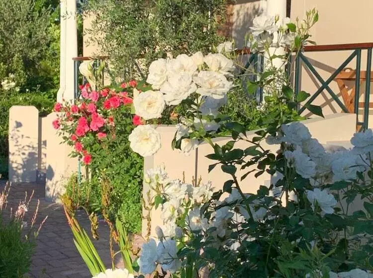 ペンション Montagu Vines Guesthouse