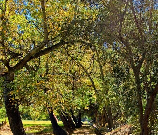 膳宿费 Montagu Vines Guesthouse