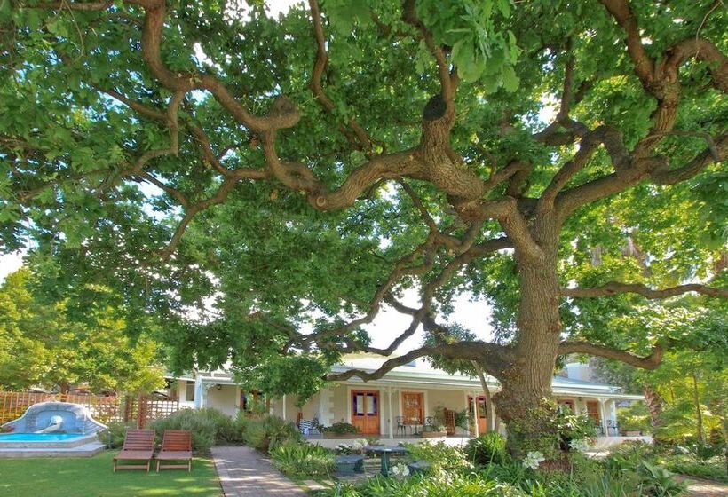 膳宿费 Montagu Vines Guesthouse