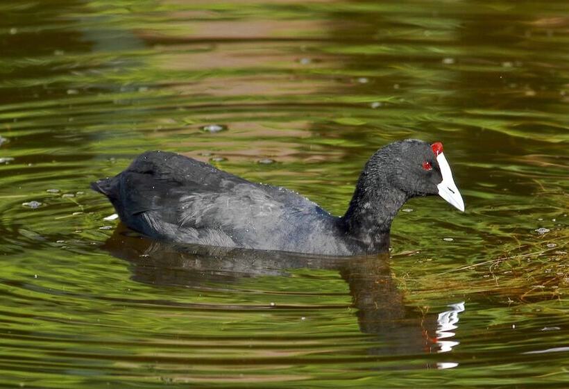 膳宿费 Montagu Vines Guesthouse