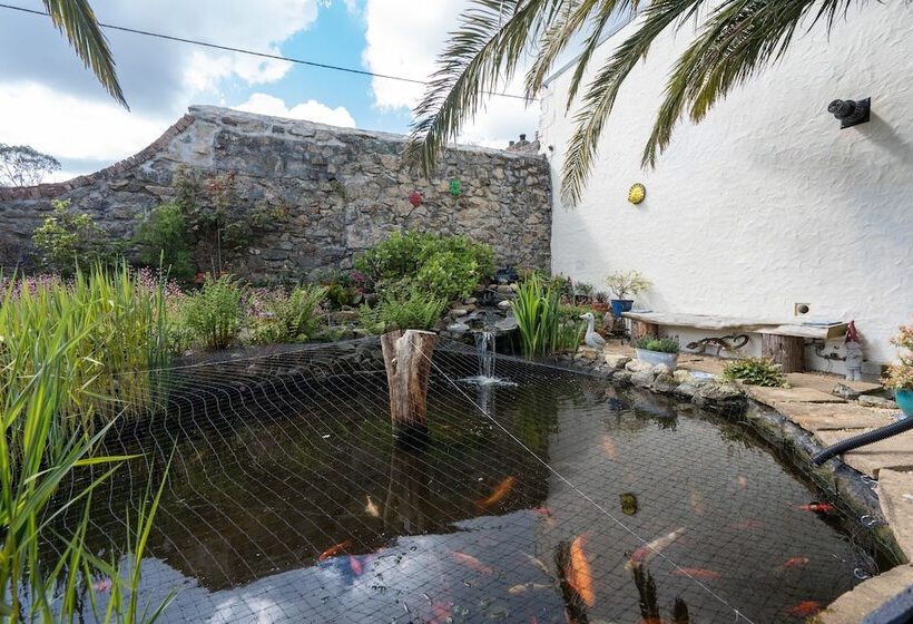 Bed and Breakfast The Cedars