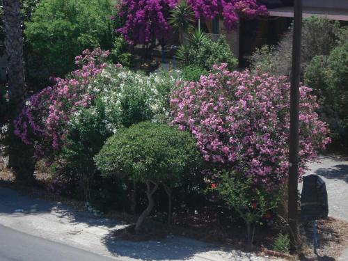 Greek Islands Studios