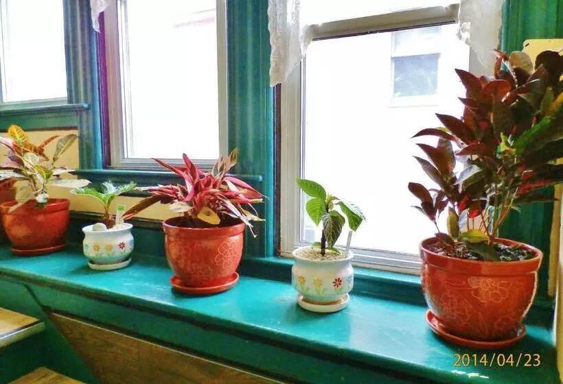 Harbor House Bed And Breakfast