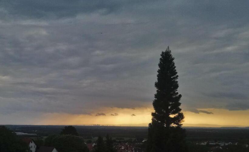 Hotel Käfernberg   Wein