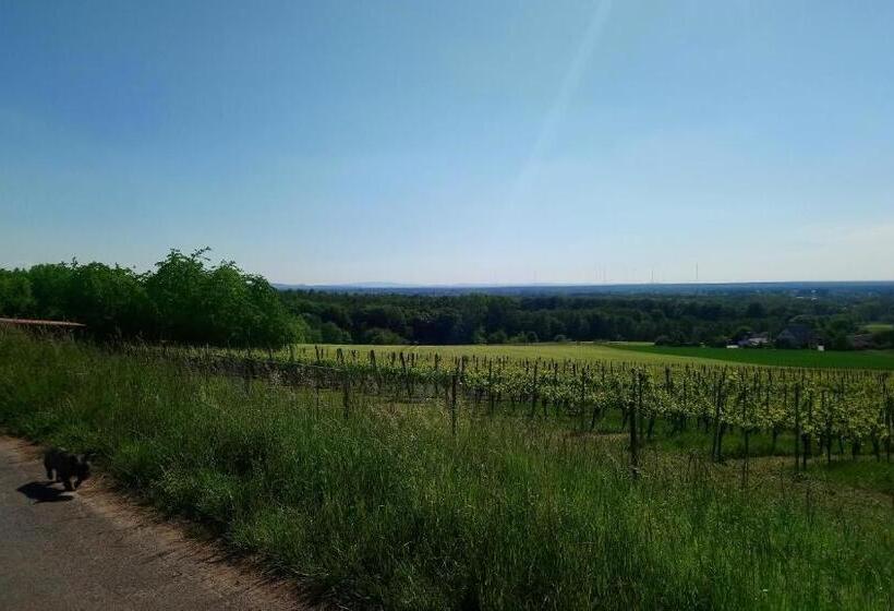 Hotel Käfernberg   Wein