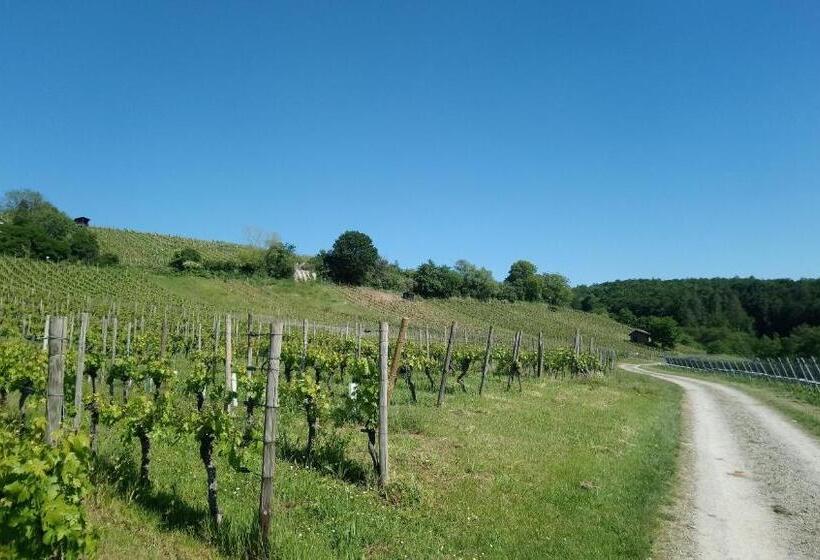 Hotel Käfernberg   Wein