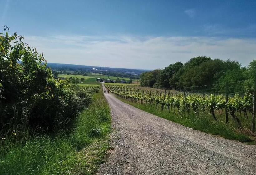 Hotel Käfernberg   Wein