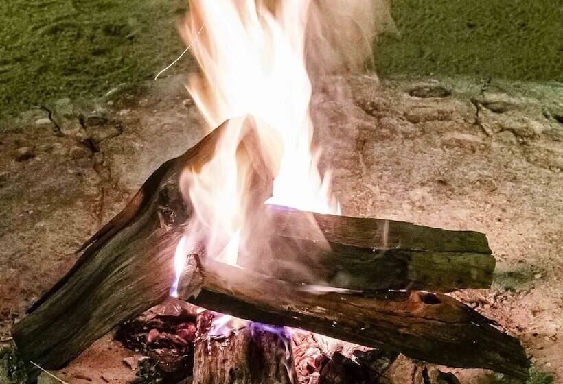 בית מלון כפרי Ku Sungula Safari Lodge