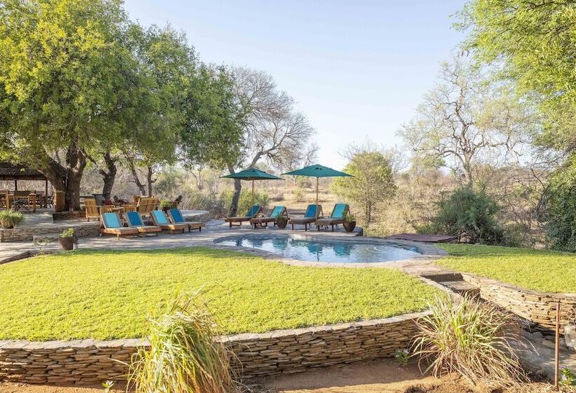 בית מלון כפרי Ku Sungula Safari Lodge