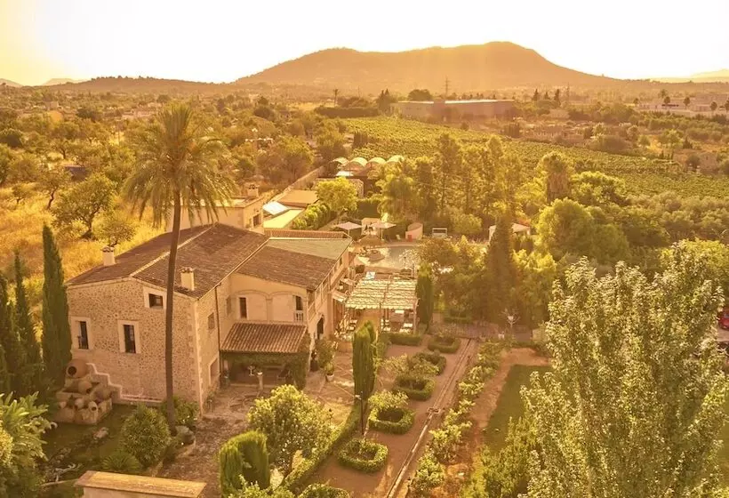 هتل Agroturismo Sa Vinya Des Convent