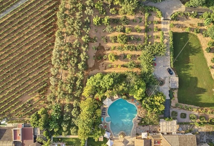 هتل Agroturismo Sa Vinya Des Convent