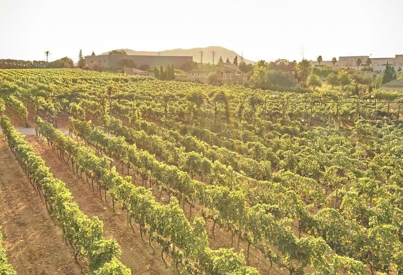 هتل Agroturismo Sa Vinya Des Convent