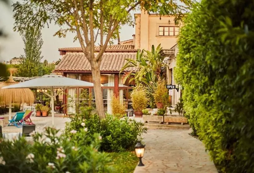 هتل Agroturismo Sa Vinya Des Convent