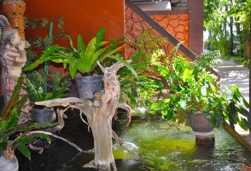 リゾートホテル Coral Bungalows