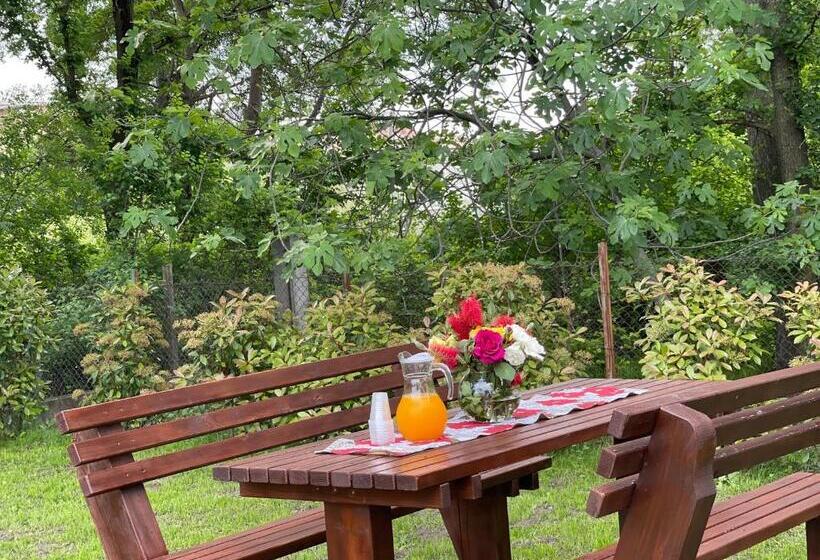 هتل Frenki S Residence