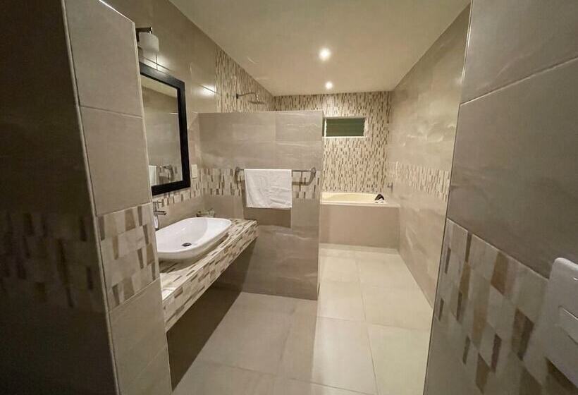 Aberdeen Hotel Dolores Hidalgo