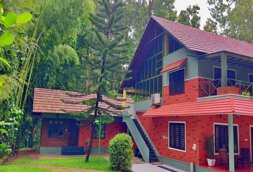 Adrak Mountain Mist Forest Resort