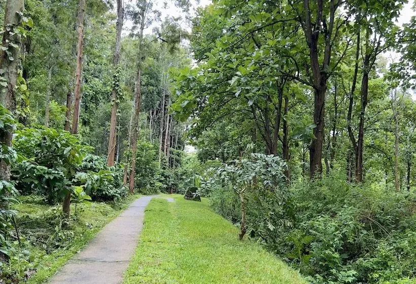 Adrak Mountain Mist Forest Resort