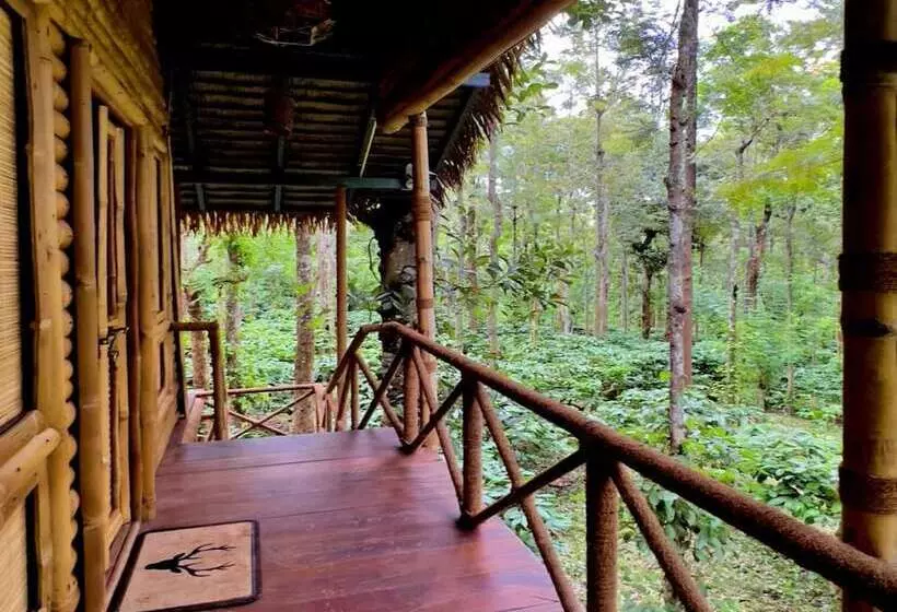 Adrak Mountain Mist Forest Resort