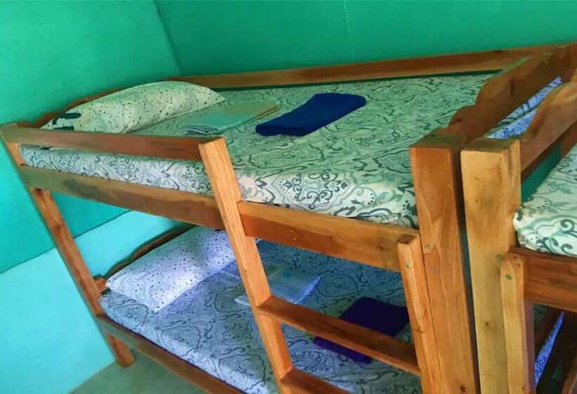 Hostel Jj’s Place By Oyo