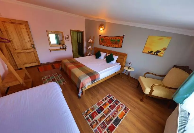 Hotelli Alphan Cappadocia