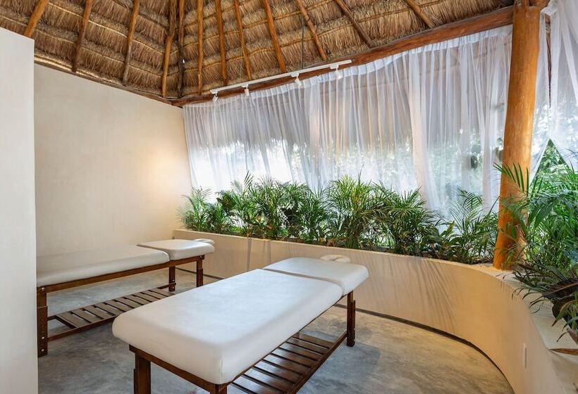 בית מלון כפרי Faisano Nomadas