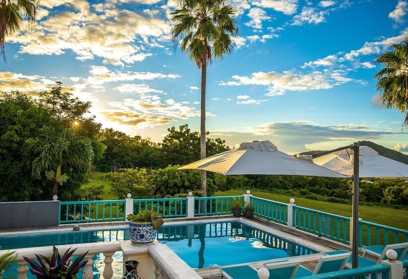 پانسیون Quill Gardens Boutique