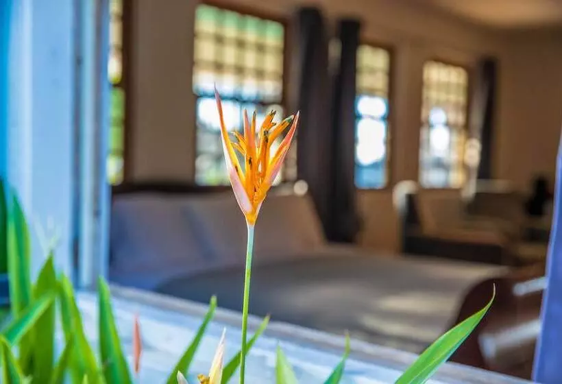 پانسیون Quill Gardens Boutique