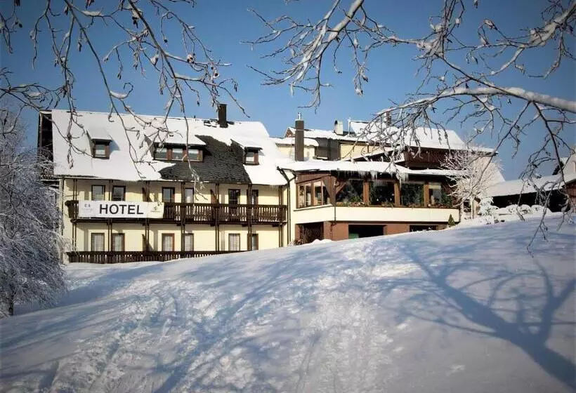 Hotelli Berglandstübel