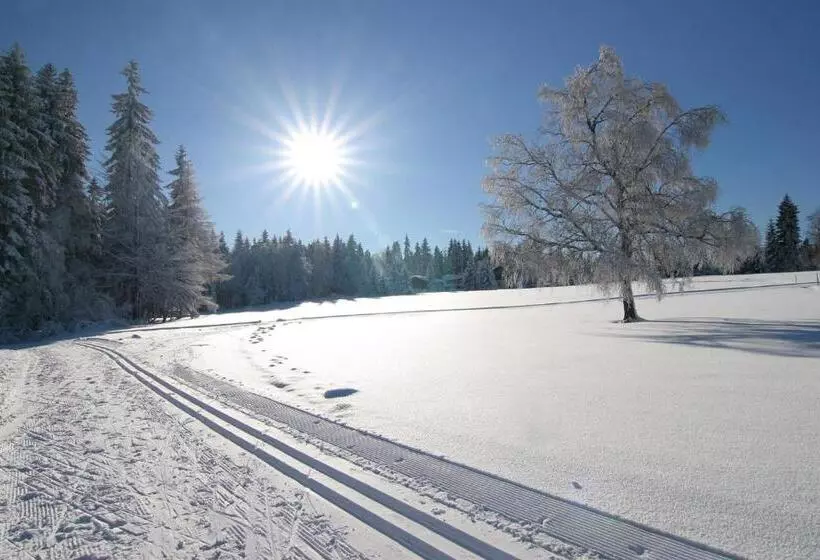 Hotelli Berglandstübel