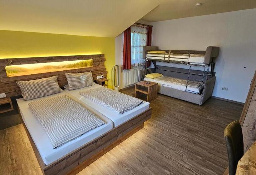 Отель Pension Grünhaid