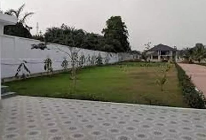 Hotelli True Vine
