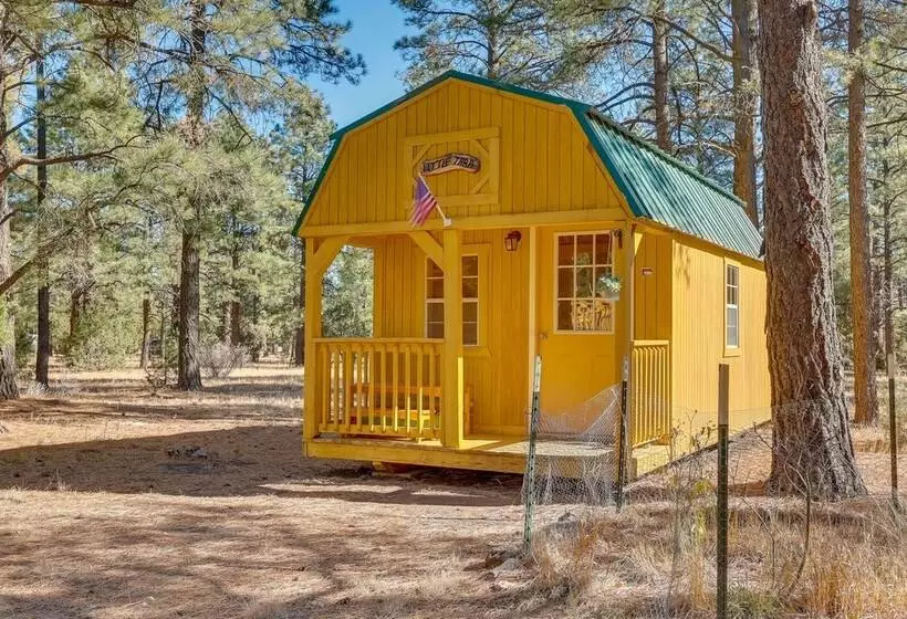 Dog Friendly Nutrioso Cabin W/ Wraparound Porch!