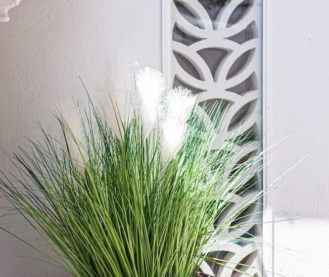 پانسیون Albuquerque Christophe Et Charlotte