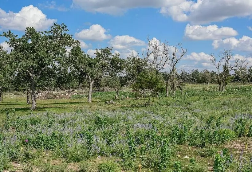 Majatalo Best Fredericksburg Bed & Breakfast