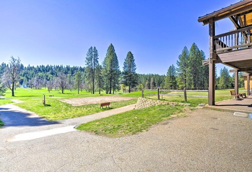 Ski, Golf & Hike: Cabin W/ Deck In Pioneer!