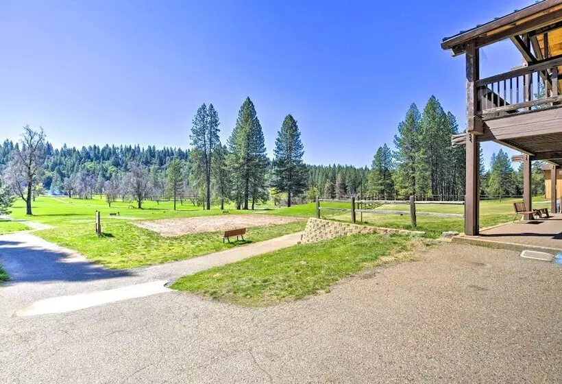 Ski, Golf & Hike: Cabin W/ Deck In Pioneer!