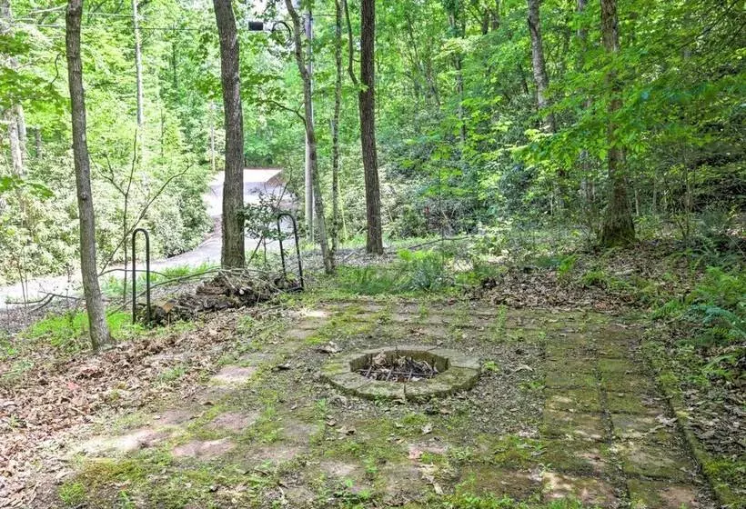 Fire Pit & Forest Views: Secluded Murphy Cabin!