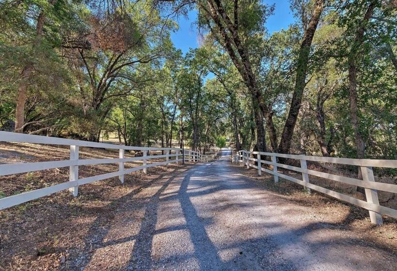 Lavish Sonora Suite On 10 Acres W/ Shared Pool!