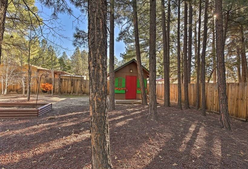 Family & Pet Friendly: Rustic Lakeside Cabin