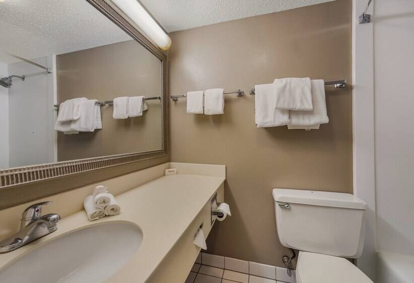 酒店 Red Roof Inn Painted Post