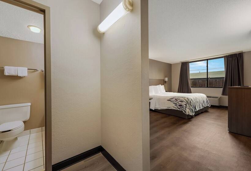 酒店 Red Roof Inn Painted Post