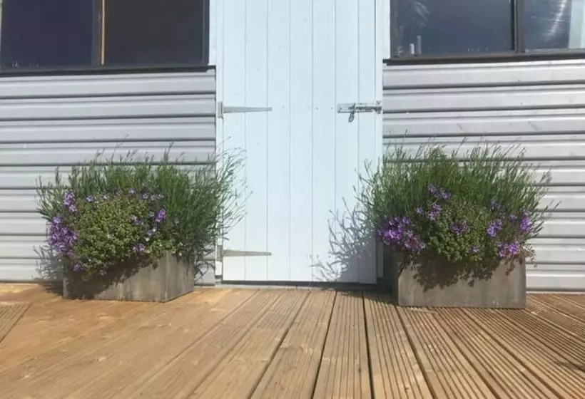 Majatalo Just Stay Wales   Marshmallow Cottage