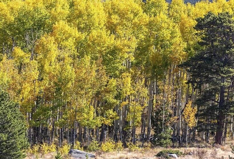 Jefferson Cabin W/ Fire Pit, Near Fishing & Hiking