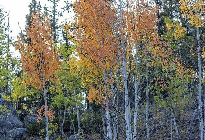 Jefferson Cabin W/ Fire Pit, Near Fishing & Hiking