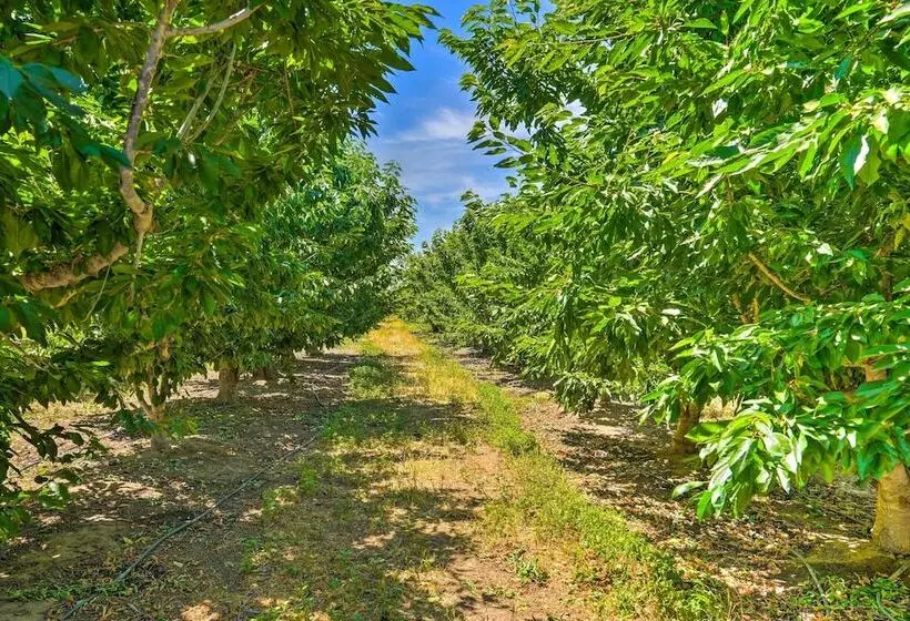 Charming Lodi Retreat: Walk To Local Wineries