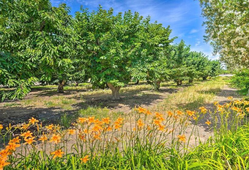 Charming Lodi Retreat: Walk To Local Wineries