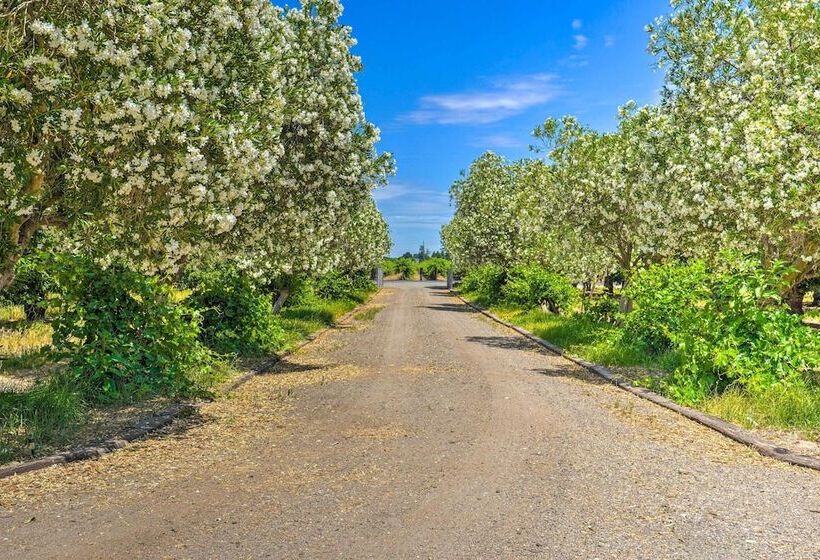 Charming Lodi Retreat: Walk To Local Wineries