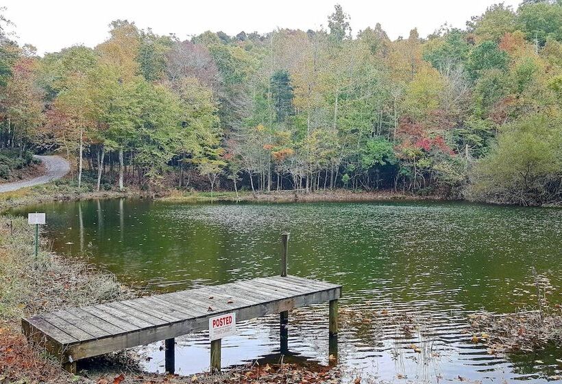 Secluded Black Mountain Cabin W/ On Site Pond!